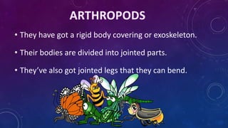 • They have got a rigid body covering or exoskeleton.
• Their bodies are divided into jointed parts.
• They’ve also got jo...