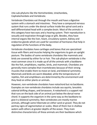 Invertebrates and chordates | PDF