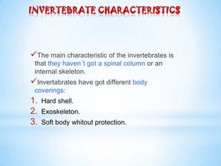 INVERTEBRATE CHARACTERISTICS
The main characteristic of the invertebrates is
that they haven´t got a spinal column or an
internal skeleton.
Invertabrates have got different body
coverings:
1. Hard shell.
2. Exoskeleton.
3. Soft body whitout protection.
