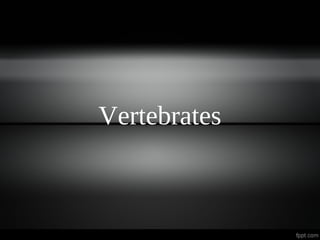 Vertebrates
 