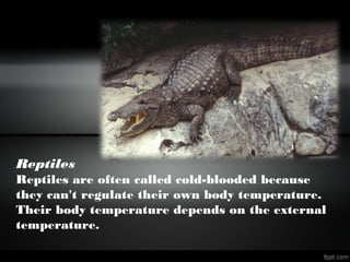 Reptiles
Reptiles are often called cold-blooded because
they can't regulate their own body temperature.
Their body temperature depends on the external
temperature.
 