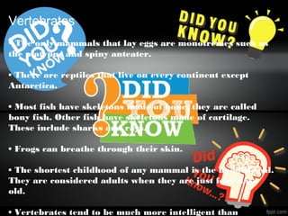 Vertebrates
• The only mammals that lay eggs are monotremes such as
the platypus and spiny anteater.
• There are reptiles that live on every continent except
Antarctica.
• Most fish have skeletons made of bone, they are called
bony fish. Other fish have skeletons made of cartilage.
These include sharks and rays.
• Frogs can breathe through their skin.
• The shortest childhood of any mammal is the hooded seal.
They are considered adults when they are just four days
old.
• Vertebrates tend to be much more intelligent than
 