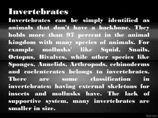 Invertebrates
Invertebrates can be simply identified as
animals that don’t have a backbone. They
holds more than 97 percent in the animal
kingdom with many species of animals. For
example mollusks' like Squid, Snails,
Octopus, Bivalves, while other species like
Sponges, Annelids, Arthropods, echinoderms
and coelenterates belongs to invertebrates.
There are some classification in
invertebrates: having external skeletons for
insects and mollusks have. The lack of
supportive system, many invertebrates are
smaller in size.
 