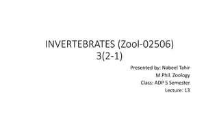 INVERTEBRATES (Zool-02506)
3(2-1)
Presented by: Nabeel Tahir
M.Phil. Zoology
Class: ADP 5 Semester
Lecture: 13
 
