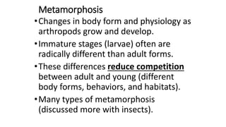 Metamorphosis
•Changes in body form and physiology as
arthropods grow and develop.
•Immature stages (larvae) often are
radically different than adult forms.
•These differences reduce competition
between adult and young (different
body forms, behaviors, and habitats).
•Many types of metamorphosis
(discussed more with insects).
 