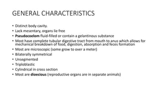 GENERAL CHARACTERISTICS
• Distinct body cavity.
• Lack mesentary, organs lie free
• Pseudocoelom fluid-filled or contain a gelantinous substance
• Most have complete tubular digestive tract from mouth to anus which allows for
mechanical breakdown of food, digestion, absorption and feces formation
• Most are microscopic (some grow to over a meter)
• Bilaterally symmetrical
• Unsegmented
• Triploblastic
• Cylindrical in cross section
• Most are dioecious (reproductive organs are in separate animals)
 