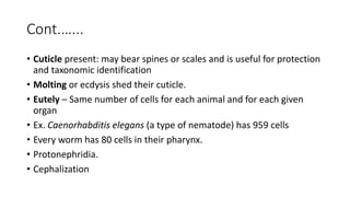 Cont.…...
• Cuticle present: may bear spines or scales and is useful for protection
and taxonomic identification
• Molting or ecdysis shed their cuticle.
• Eutely – Same number of cells for each animal and for each given
organ
• Ex. Caenorhabditis elegans (a type of nematode) has 959 cells
• Every worm has 80 cells in their pharynx.
• Protonephridia.
• Cephalization
 