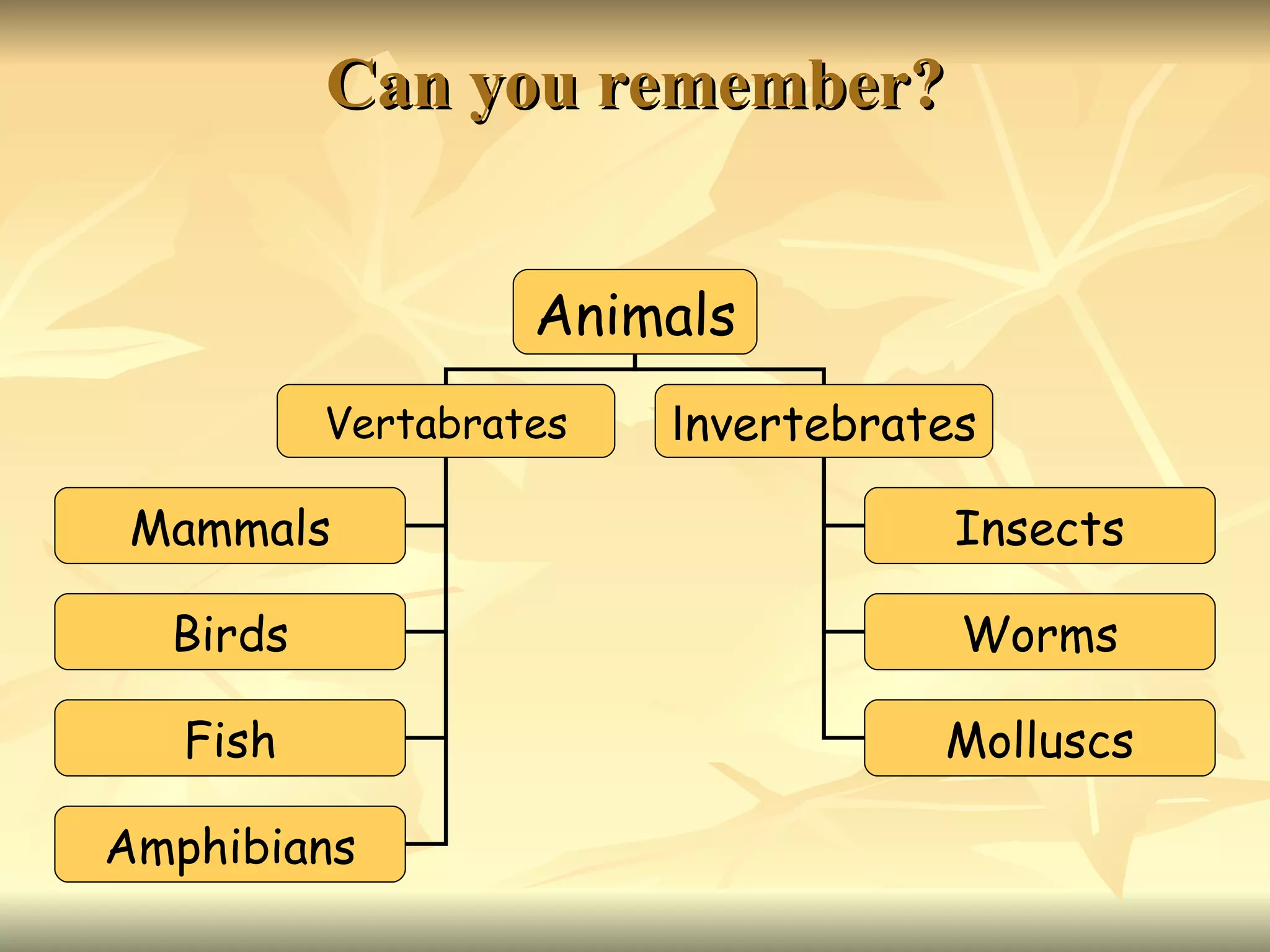 Can you remember? Animals Vertabrates I nvertebrates Mammals Birds Fish Insects Worms Molluscs Amphibians