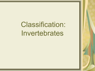 Classification:
Invertebrates
 