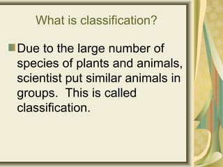 What is classification?
Due to the large number of
species of plants and animals,
scientist put similar animals in
groups....