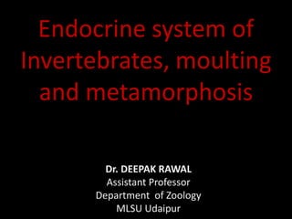 Endocrine system of
Invertebrates, moulting
and metamorphosis
Dr. DEEPAK RAWAL
Assistant Professor
Department of Zoology
MLSU Udaipur
 