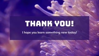 THANK YOU!
I hope you learn something new today!
 