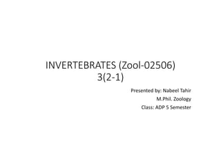 INVERTEBRATES (Zool-02506)
3(2-1)
Presented by: Nabeel Tahir
M.Phil. Zoology
Class: ADP 5 Semester
 