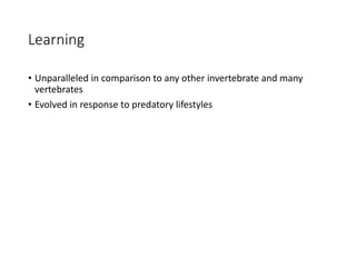 Learning
• Unparalleled in comparison to any other invertebrate and many
vertebrates
• Evolved in response to predatory lifestyles
 