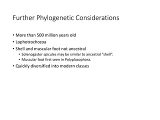 Further Phylogenetic Considerations
• More than 500 million years old
• Lophotrochozoa
• Shell and muscular foot not ancestral
• Solenogaster spicules may be similar to ancestral “shell”.
• Muscular foot first seen in Polyplacophora.
• Quickly diversified into modern classes
 