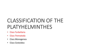 CLASSIFICATION OF THE
PLATYHELMINTHES
• Class Turbellaria
• Class Trematoda
• Class Monogenea
• Class Cestoidea
 