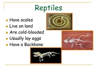Reptiles
   Have scales
   Live on land
   Are cold-blooded
   Usually lay eggs
   Have a Backbone
 
