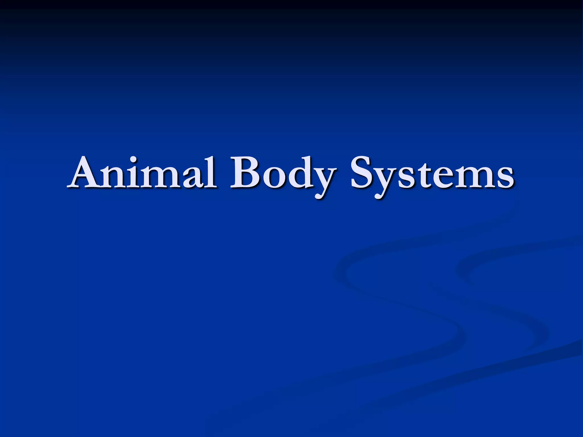 Invertebrates PPT invertebrates-ppt