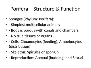 Invertebrates_Structure_Function_Elaborated_Slides_1_5.pptx