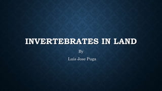 INVERTEBRATES IN LAND
By
Luis Jose Puga
 