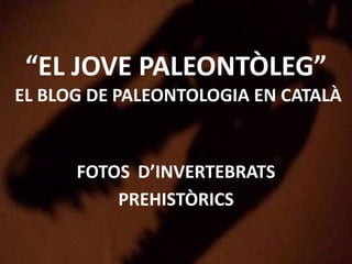“EL JOVE PALEONTÒLEG”
EL BLOG DE PALEONTOLOGIA EN CATALÀ
FOTOS D’INVERTEBRATS
PREHISTÒRICS
 