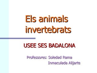 Els animals    invertebrats USEE SES BADALONA Professores: Soledad Rama Inmaculada Alijarte 
