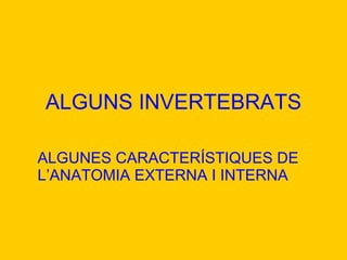 ALGUNS INVERTEBRATS ALGUNES CARACTERÍSTIQUES DE  L’ANATOMIA  EXTERNA I INTERNA 