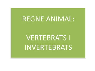 REGNE ANIMAL: 
VERTEBRATS I 
INVERTEBRATS 
 
