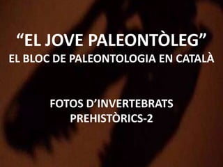 “EL JOVE PALEONTÒLEG”
EL BLOC DE PALEONTOLOGIA EN CATALÀ
FOTOS D’INVERTEBRATS
PREHISTÒRICS-2
 