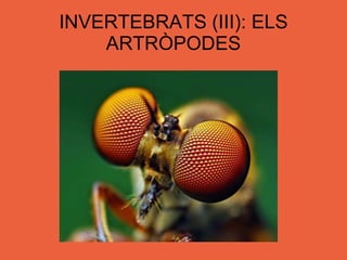 INVERTEBRATS (III): ELS ARTRÒPODES 