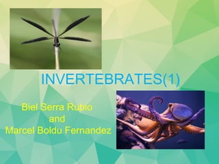 INVERTEBRATES(1)
Biel Serra Rubio
and
Marcel Boldu Fernandez
 