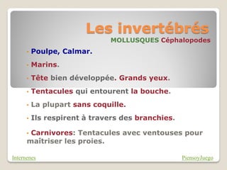 Les invertébrés
                              MOLLUSQUES Céphalopodes
      •   Poulpe, Calmar.
      •   Marins.
      •   Tête bien développée. Grands yeux.
      •   Tentacules qui entourent la bouche.
      •   La plupart sans coquille.
      •   Ils respirent à travers des branchies.

      •Carnivores: Tentacules avec ventouses pour
      maîtriser les proies.

Internenes                                         PiensoyJuego
 