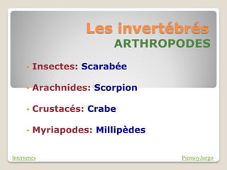Les invertébrés
                         ARTHROPODES
      •   Insectes: Scarabée

      •   Arachnides: Scorpion

      •   Crustacés: Crabe

      •   Myriapodes: Millipèdes


Internenes                         PiensoyJuego
 
