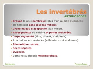 Les invertébrés
                                                  ARTRHOPODES
         Groupe le plus nombreux: plus d’un million d’espèces.
         Ils habitent dans tous les milieux.
         Grand niveau d’adaptation aux milieu.
         Exoesquelette de chitine et pattes articulées.
         Corps segmenté (tête, thorax, abdomen).
         Arachnides et crustacés (céfalotorax et abdomen).
         Alimentation variée.
         Sexes séparés.
         Ovípares.
         Certains subissent métamorphose.


Internenes                                                 PiensoyJuego
 