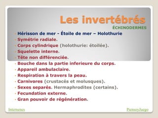 Les invertébrés
                                              ÉCHINODERMES
   •   Hérisson de mer - Étoile de mer – Holothurie
   •   Symétrie radiale.
   •   Corps cylindrique (holothurie: étoilée).
   •   Squelette interne.
   •   Tête non différenciée.
   •   Bouche dans la partie inferieure du corps.
   •   Appareil ambulaclaire.
   •   Respiration à travers la peau.
   •   Carnivores (crustacés et molusques).
   •   Sexes separés. Hermaphrodites (certains).
   •   Fecundation externe.
   •   Gran pouvoir de régénération.

Internenes                                            PiensoyJuego
 