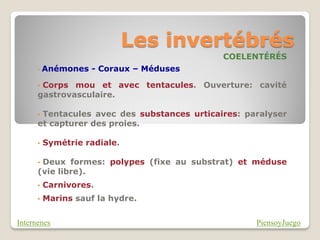 Les invertébrés
                                             COELENTÉRÉS
      •   Anémones - Coraux – Méduses

      •Corps mou et avec tentacules. Ouverture: cavité
      gastrovasculaire.

      •Tentacules avec des substances urticaires: paralyser
      et capturer des proies.

      •   Symétrie radiale.

      •Deux formes: polypes (fixe au substrat) et méduse
      (vie libre).
      •   Carnivores.
      •   Marins sauf la hydre.


Internenes                                          PiensoyJuego
 
