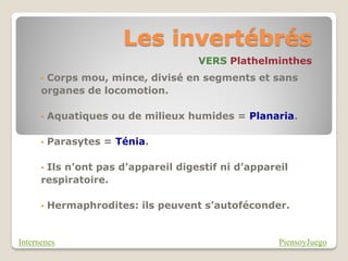 Les invertébrés
                                    VERS Plathelminthes
      •Corps mou, mince, divisé en segments et sans
      organes de locomotion.

      •   Aquatiques ou de milieux humides = Planaria.

      •   Parasytes = Ténia.

      •Ils n’ont pas d’appareil digestif ni d’appareil
      respiratoire.

      •   Hermaphrodites: ils peuvent s’autoféconder.


Internenes                                          PiensoyJuego
 