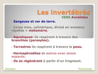 Les invertébrés
                                        VERS Annélides
      •   Sangsues et ver de terre.
      •Corps mou, cylindrique, divisé en anneaux
      répétés = métamérie.

      •Aquatiques: ils respirent à travers des
      branchies (parasytes).

      •   Terrestres ils respirent à travers la peau.

      • Hermaphrodites et autres avec sexes
      separés.
      • Ils se régénèrent à partir d’un fragment.


Internenes                                        PiensoyJuego
 