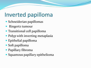 Inverted papilloma
 Schneiderian papillomas
 Ringertz tumour
 Transitional cell papilloma
 Polyp with inverting metaplasia
 Epithelial papilloma
 Soft papilloma
 Papillary fibroma
 Squamous papillary epithelioma
 