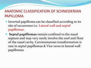 ANATOMIC CLASSIFICATION OF SCHNEIDERIAN
PAPILLOMA
 Inverted papilloma can be classified according to its
site of occurrence i.e. Lateral wall and septal
papillomas .
 Septal papillomas remain confined to the nasal
septum and may very rarely involve the roof and floor
of the nasal cavity. Carcinomatous transformation is
rare in septal papillomas & Vice versa in lateral wall
papillomas
 