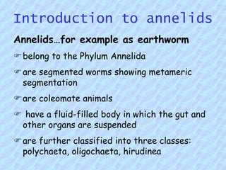 Invertibrate introduction | PPT