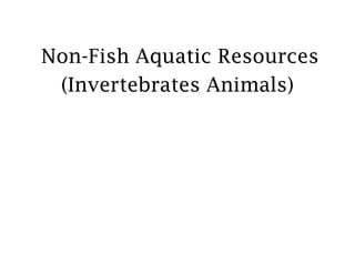Non-Fish Aquatic Resources
(Invertebrates Animals)
 