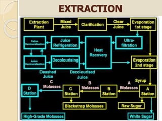 EXTRACTION
 
