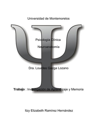 Universidad de Montemorelos




               Psicología Clínica

                Neuroanatomía




          Dra. Lourdes Gazga Lozano




Trabajo : Investigación de Aprendizaje y Memoria




       Itzy Elizabeth Ramírez Hernández
 