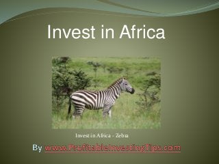 Invest in Africa
Invest in Africa - Zebra
 