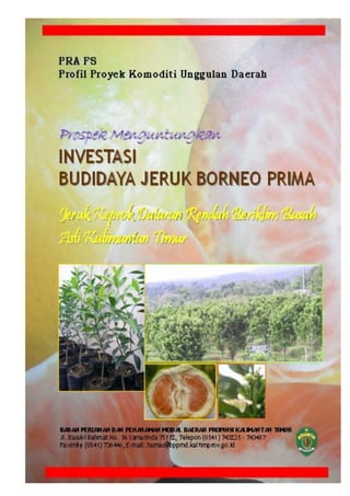 Prospek Menguntungkan
Investasi Budidaya Jeruk Borneo Prima
 