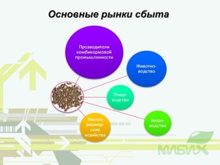 Основные рынки сбыта  