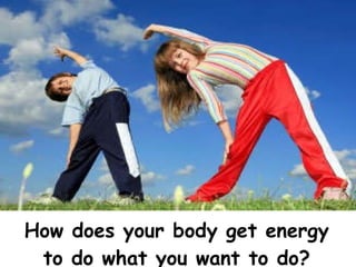 How does your body get energy to do what you want to do? 