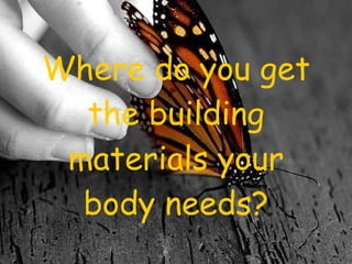 Where do you get the building materials your body needs? 