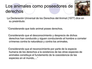 Los animales como poseedores de
derechos
La Declaración Universal de los Derechos del Animal (1977) dice en
su preámbulo:
“Considerando que todo animal posee derechos,
Considerando que el desconocimiento y desprecio de dichos
derechos han conducido y siguen conduciendo al hombre a cometer
crímenes contra la naturaleza y contra los animales,
Considerando que el reconocimiento por parte de la especie
humana de los derechos a la existencia de las otras especies de
animales constituye el fundamento de la coexistencia de las
especies en el mundo,…”
 
